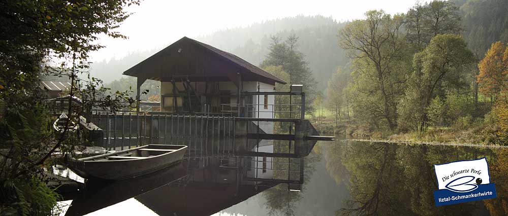 Bayerischer Wald
