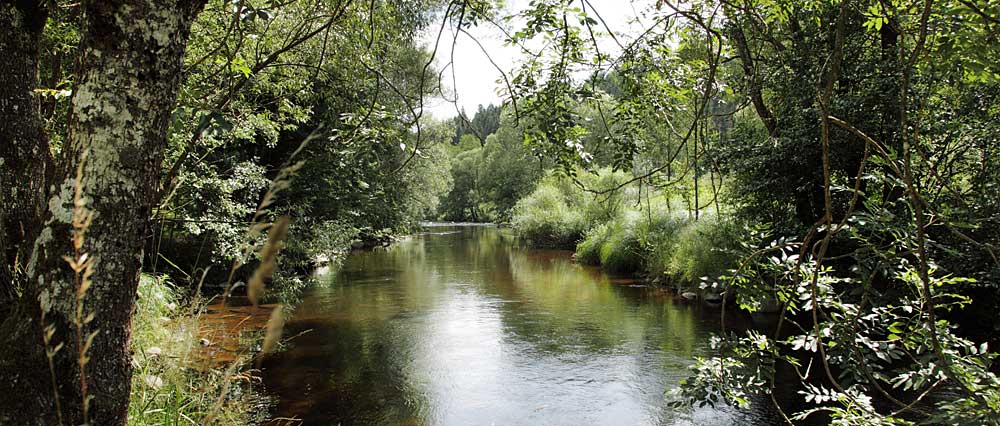 Urlaubsangebote Bayerischer Wald Urlaub in der Natur